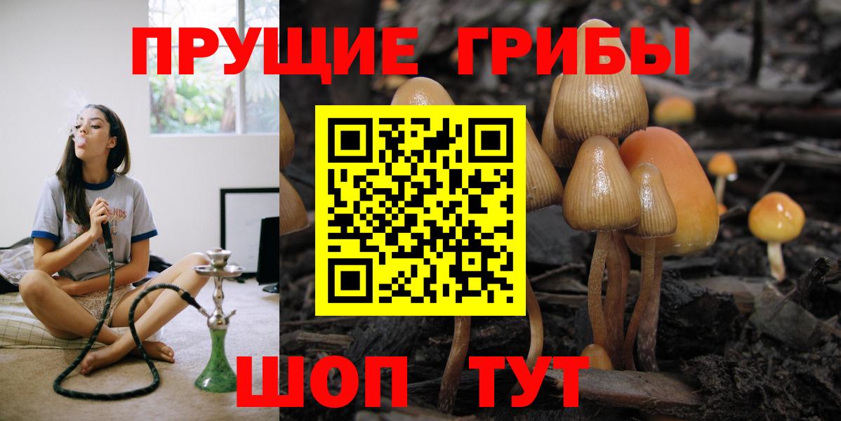 Галлюциногенные грибы Magic Shrooms Татарск