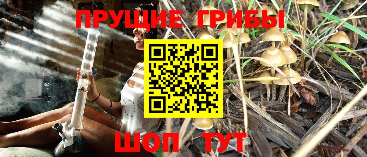 Галлюциногенные грибы ЛСД  Вход с VPN  Татарск  Галлюциногенные грибы ЛСД 